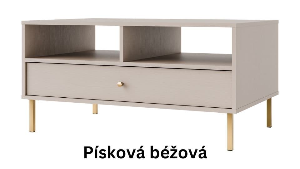 Konferenční stůl STRAKOŠ 201 TOK 2 1S